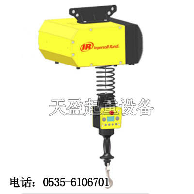 智能電動葫蘆原裝進口,EIW132120智能電動葫蘆現貨