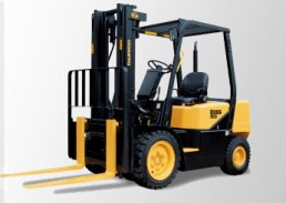 韓國(guó)斗山G25E內(nèi)燃平衡重叉車 G25E